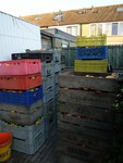 big_32389121_0_375-500.jpg