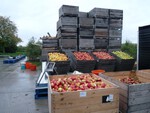 big_32280020_0_600-450.jpg
