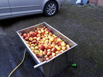 20220226_093307.jpg