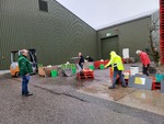 20241102_082744.jpg