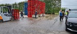 20241102_135607.jpg