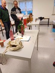 20240912_195913.jpg