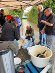 IMG-20241005-WA0007.jpg
