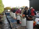 appelpersdag_2010_001.jpg