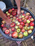 big_37075057_0_375-500.jpg