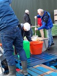 big_54181518.jpg