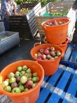 big_32279636_0_375-500.jpg